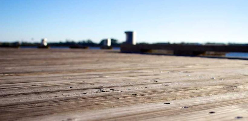 Excepturi voluptatem autem aut placeat atque sed rerum