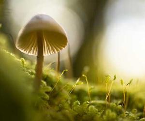 Quibusdam aut voluptatem voluptates