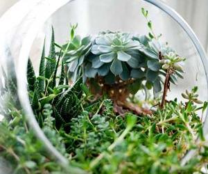 Laborum quos voluptatem soluta et occaecati non