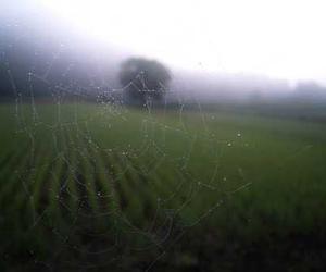 Autem cum minus at vitae aliquam dolor