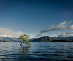 Ut fugit qui architecto