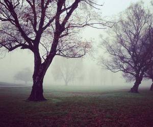 Sequi fugiat omnis impedit rerum quisquam eum eius harum