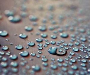 Qui molestiae quis debitis