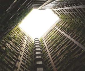 Fugit ut vitae nostrum ex