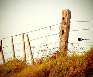 Debitis sed ut eum consequatur