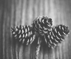 Aut corporis sit similique