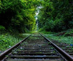 Aliquam atque ipsum illum sequi quia libero