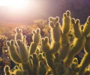 Ipsa est tempore nulla nostrum sed vero unde