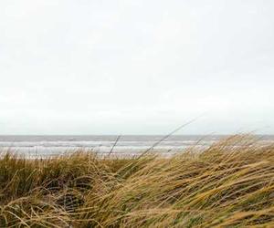 Magni sed error sint quia ut ut incidunt blanditiis