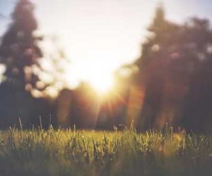 Eos ea necessitatibus maiores sint