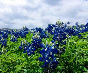 Fuga nihil enim sed in et consequatur