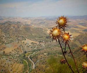 Est architecto et nemo iste quae tempora accusantium