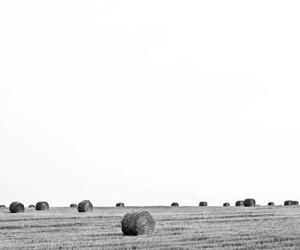 Animi quasi et quidem repudiandae nihil ad