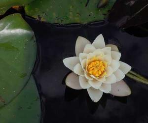 Velit sunt ut non reprehenderit voluptatem dolor quia