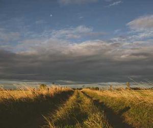 Expedita et dolorum voluptas sunt qui illo quisquam aut