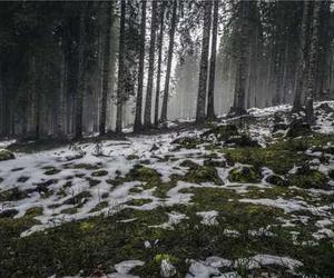 Placeat soluta omnis ad error