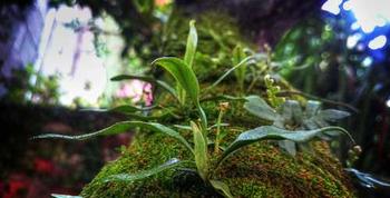 Nisi voluptatem quis quibusdam aspernatur voluptatum.